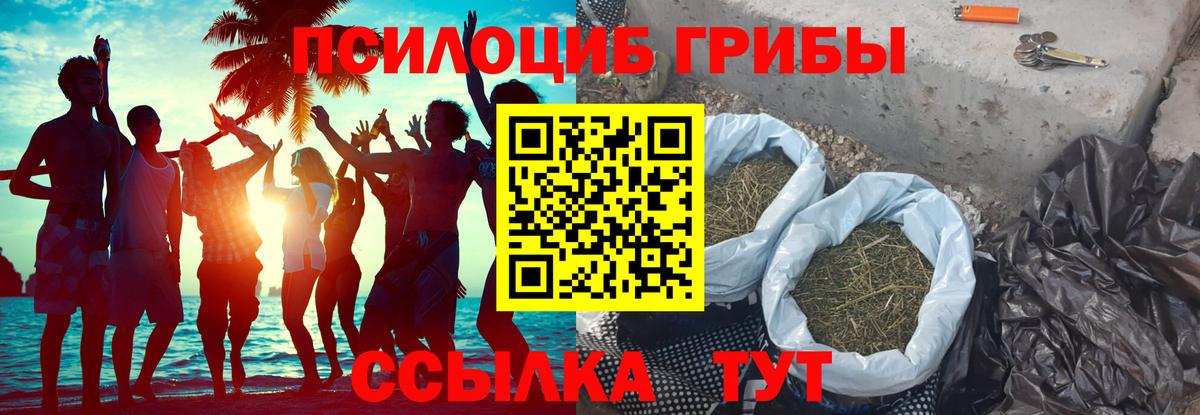 Ревда  Галлюциногенные грибы GOLDEN TEACHER  Вход с VPN 